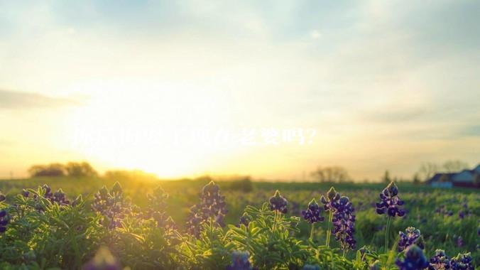 你后悔娶了现在老婆吗？