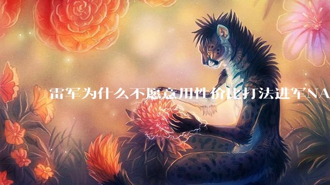 雷军为什么不愿意用性价比打法进军NAS？