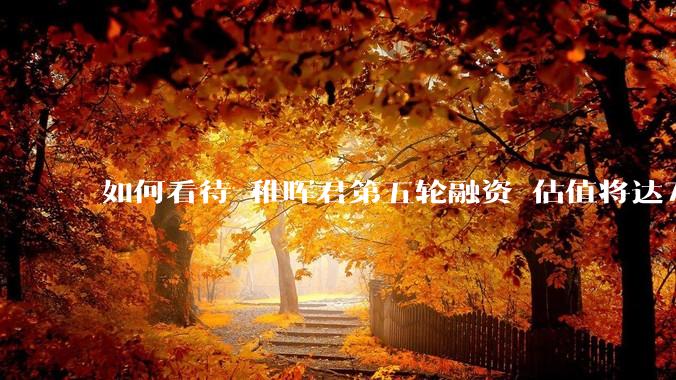 如何看待 稚晖君第五轮融资 估值将达70亿？