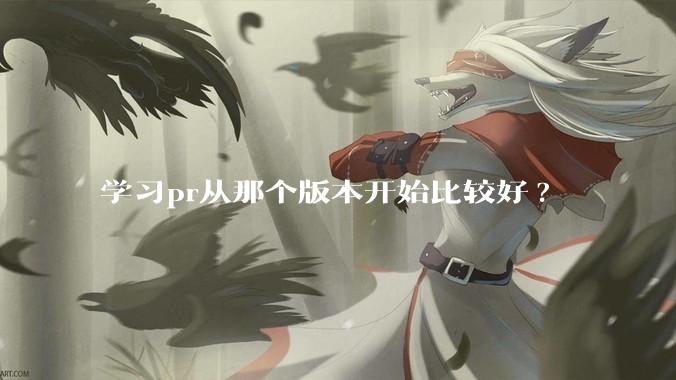 学习pr从那个版本开始比较好?