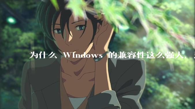 为什么 Windows 的兼容性这么强大，到底用了什么技术？