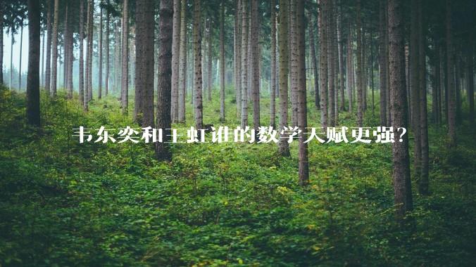 韦东奕和王虹谁的数学天赋更强？